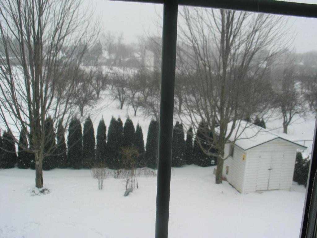 Arnica Bed & Breakfast Bed & Breakfast Niagara-on-the-Lake Eksteriør bilde